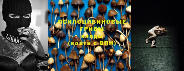 а пвп мука Дмитриев