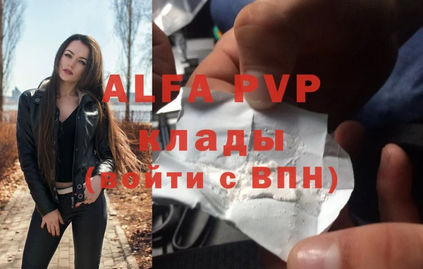 спиды Дмитров