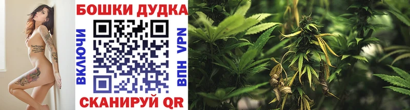 Купить  Чаплыгин  Марихуана SATIVA & INDICA 